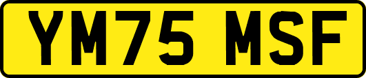 YM75MSF