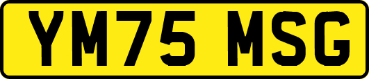 YM75MSG