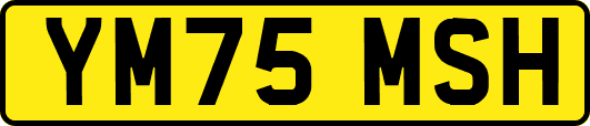 YM75MSH