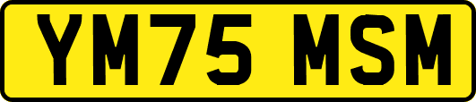 YM75MSM