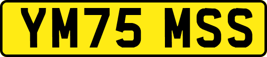 YM75MSS