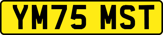 YM75MST