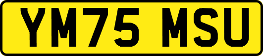 YM75MSU