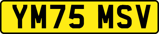 YM75MSV