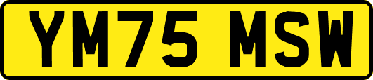 YM75MSW