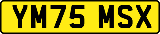 YM75MSX