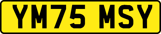 YM75MSY