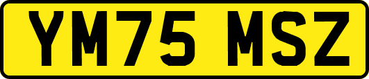 YM75MSZ