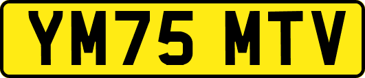 YM75MTV