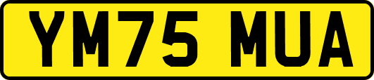 YM75MUA