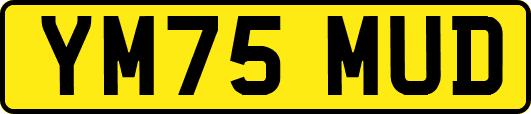 YM75MUD