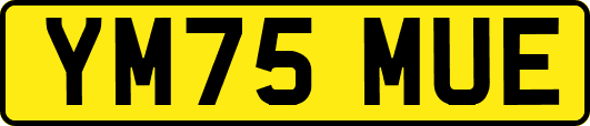 YM75MUE