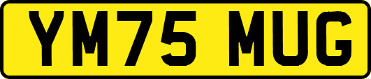 YM75MUG