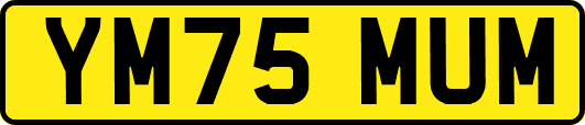 YM75MUM