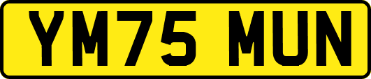 YM75MUN