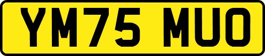 YM75MUO