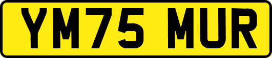 YM75MUR
