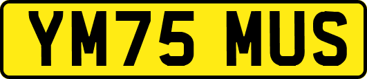 YM75MUS