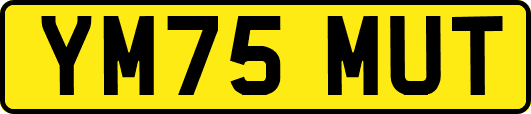 YM75MUT