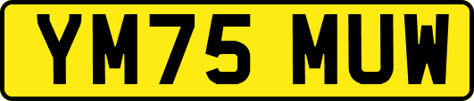 YM75MUW
