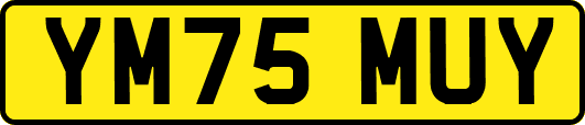 YM75MUY