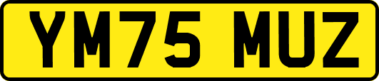 YM75MUZ