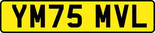 YM75MVL