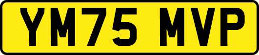 YM75MVP