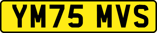 YM75MVS