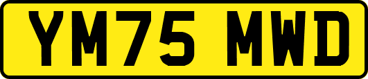 YM75MWD