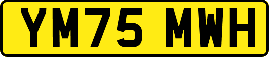 YM75MWH