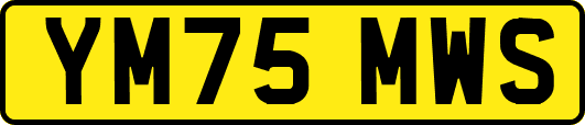 YM75MWS