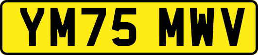 YM75MWV