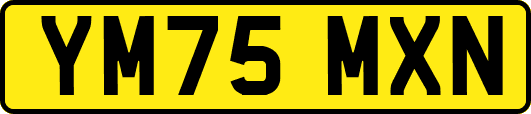 YM75MXN