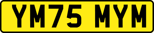 YM75MYM