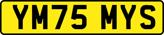 YM75MYS