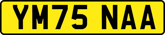 YM75NAA