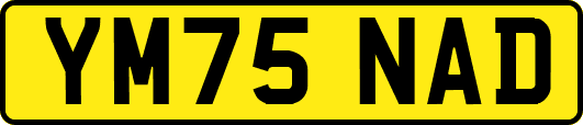 YM75NAD
