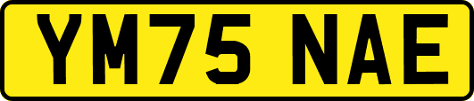 YM75NAE