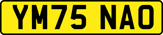 YM75NAO