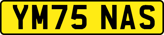 YM75NAS