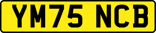 YM75NCB