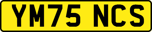 YM75NCS
