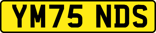 YM75NDS