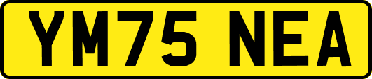 YM75NEA