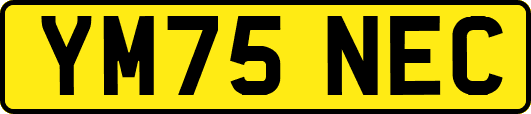 YM75NEC