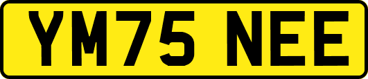YM75NEE