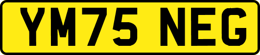 YM75NEG