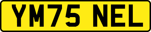 YM75NEL
