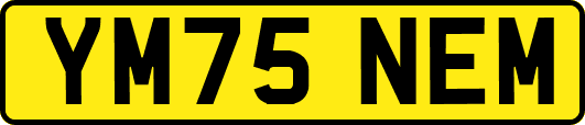 YM75NEM